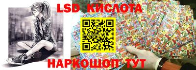 прущие грибы Можайск