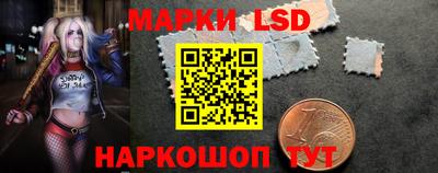 прущие грибы Можайск
