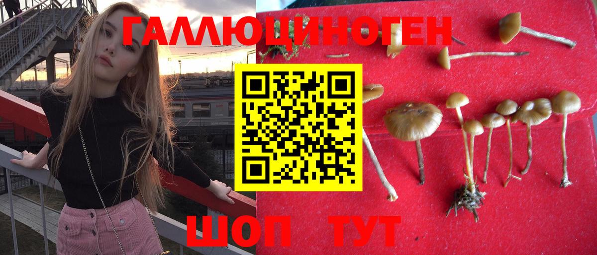 Унеча  Галлюциногенные грибы Psilocybe  Галлюциногенные грибы мухоморы  Вход с VPN 